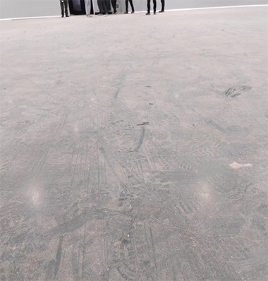 1692083974368265.jpg 1692083974368265.jpg