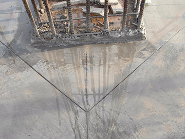 1700038647566771.jpg 1700038647566771.jpg