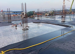 1700122234898030.jpg 1700122234898030.jpg