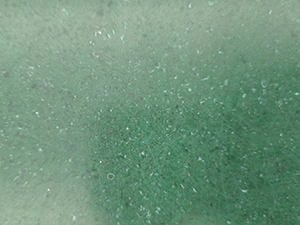 1708478504372526.jpg 10.jpg